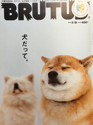 BRUTUS 819号 ブルータス 2016年3/15 犬だって。