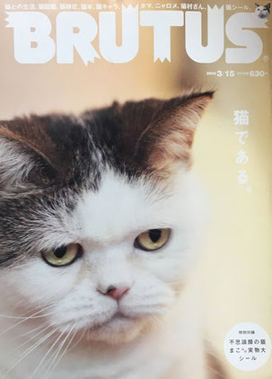 BRUTUS 658 ブルータス 2009年3/15 猫である。まこほぼ実物大シール付き