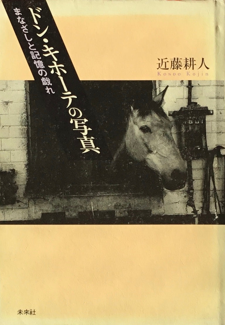 ドン・キホーテの写真 まなざしと記憶の戯れ 近藤耕人