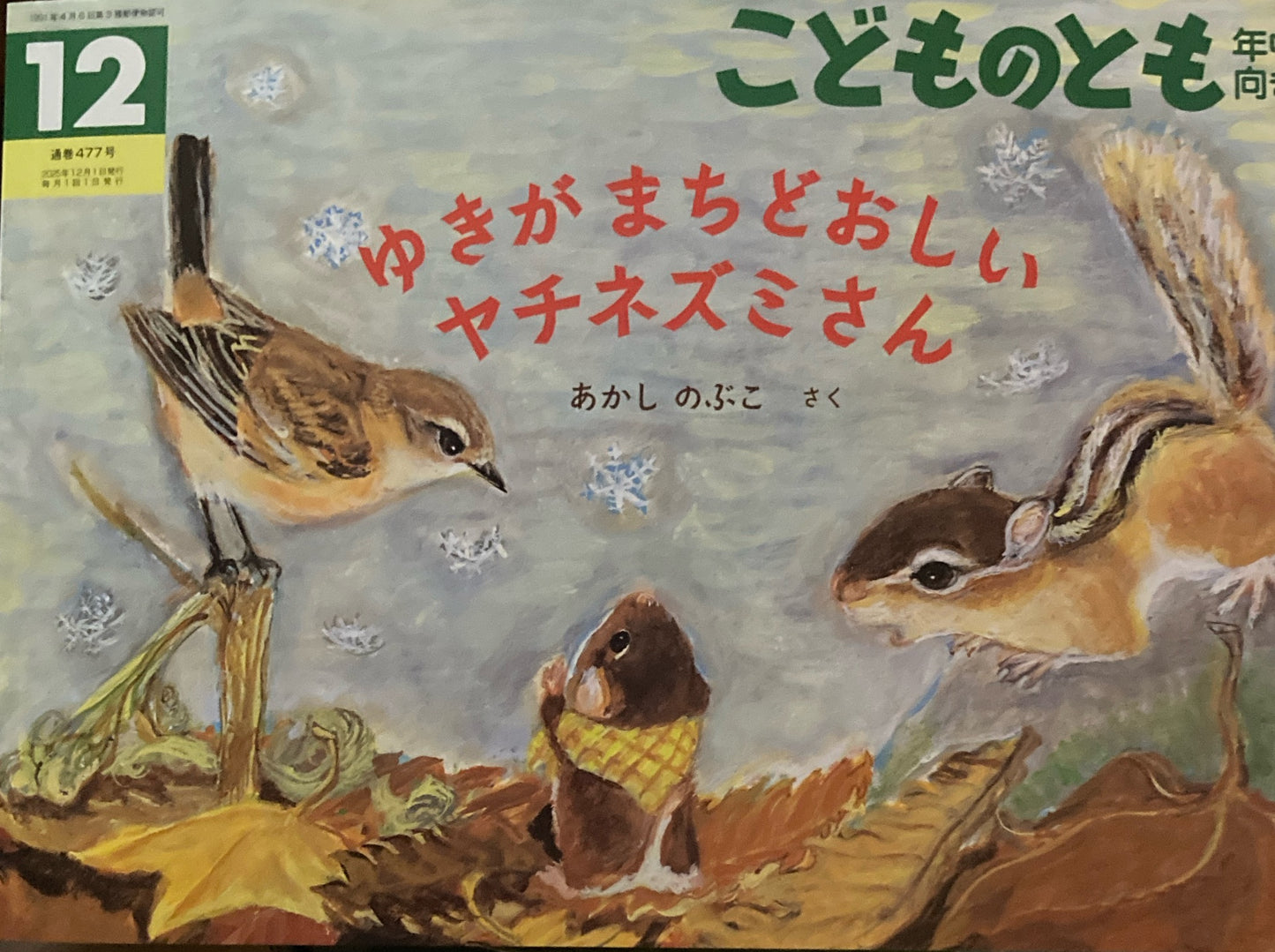 ゆきが まちどおしい ヤチネズミさん こどものとも年中向き477号 2025年12月号