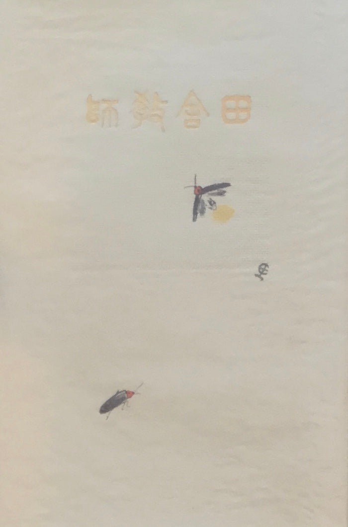 田舎教師 田山花袋 新選名著複刻全集 近代文学館