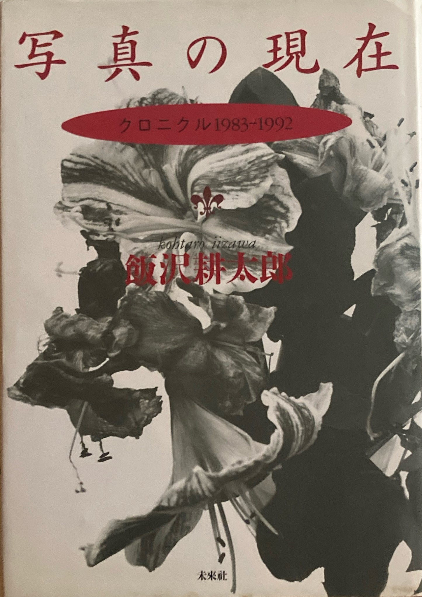 写真の現在 クロニクル1983-1992 飯沢耕太郎
