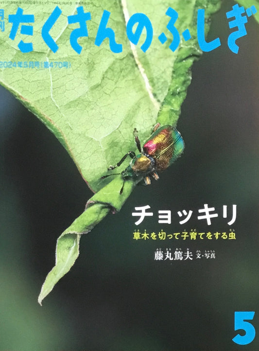 チョッキリ 草木を切って子育てする虫 たくさんのふしぎ470号