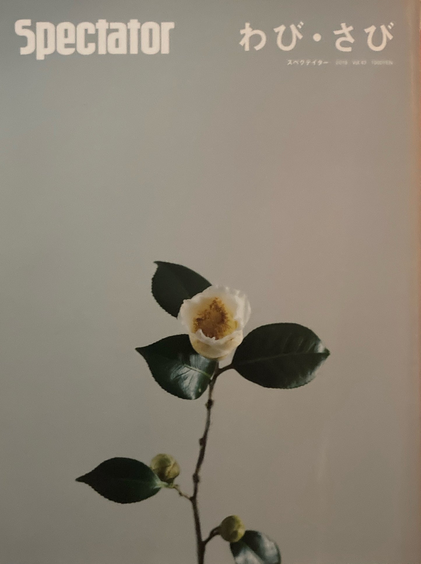 spectator Vol.43 スペクテイター第43号 わび・さび