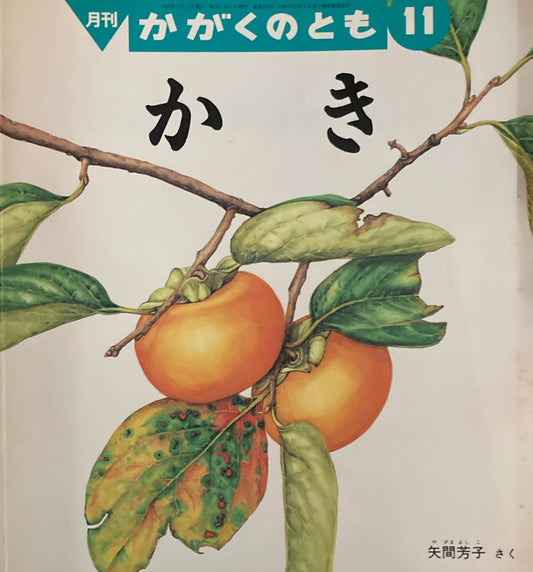 かき 矢間芳子 かがくのとも356号 1998年11月号