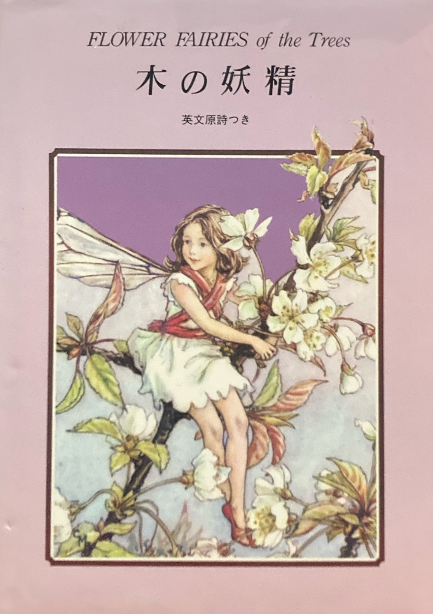木の妖精 シシリー・メアリー・バーカー フラワーフェアリー特製版