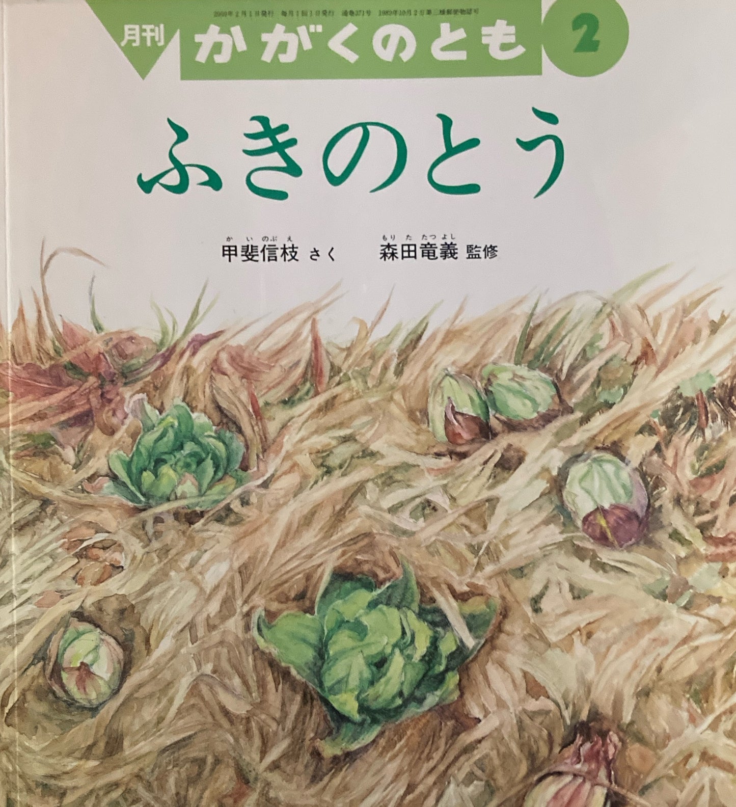ふきのとう 甲斐信枝 かがくのとも371号 2000年2月号