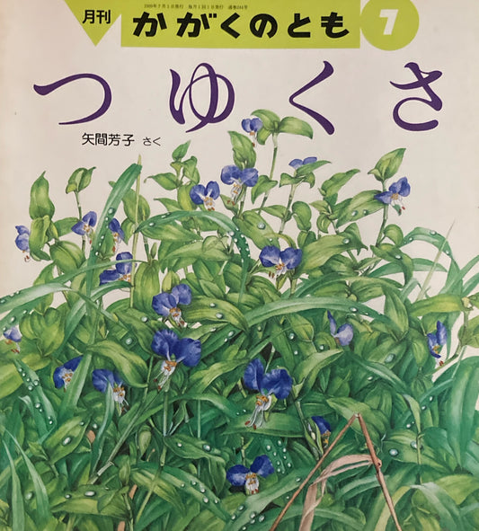 つゆくさ かがくのとも244号  1989年7月号
