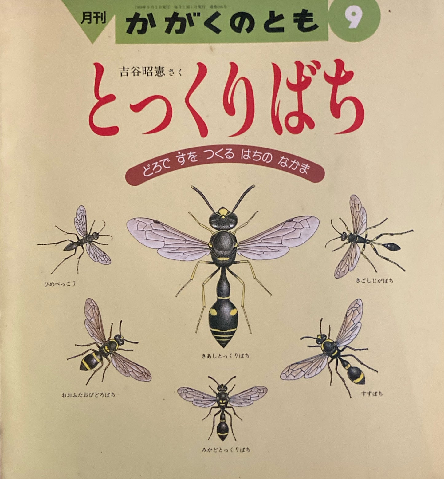 とっくりばち かがくのとも246号  1989年9月号