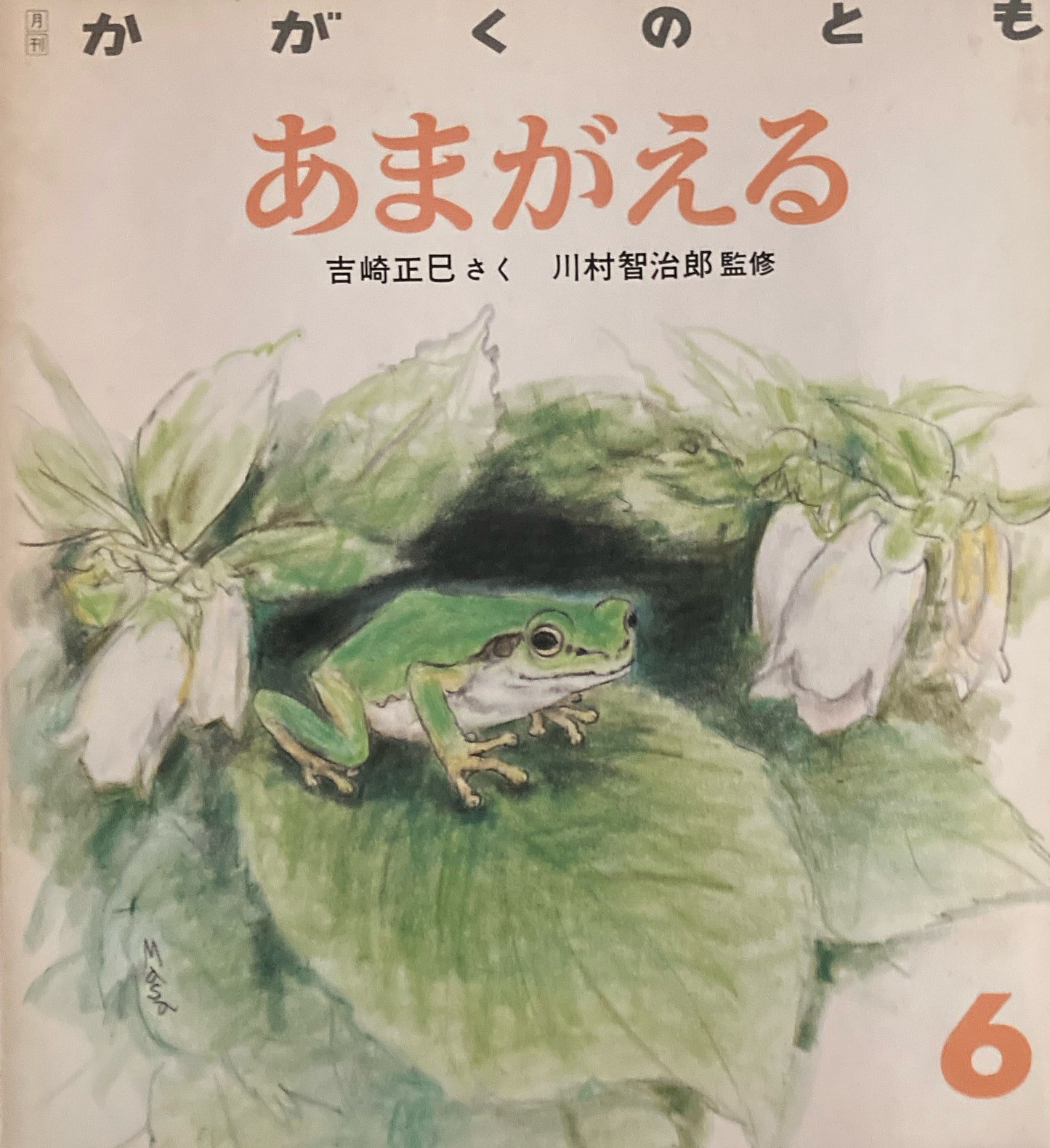 あまがえる かがくのとも231号  1988年6月号