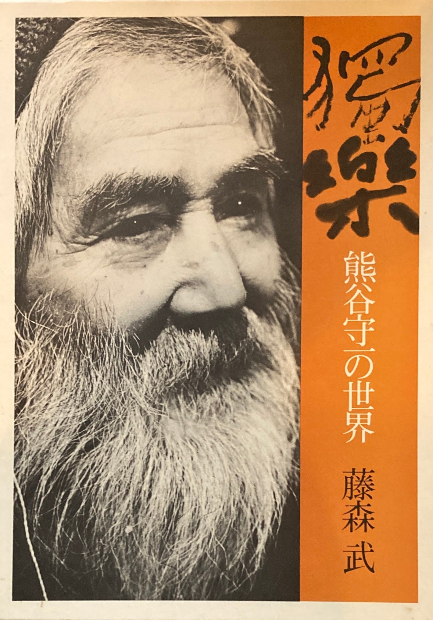獨楽 熊谷守一の世界 藤森武