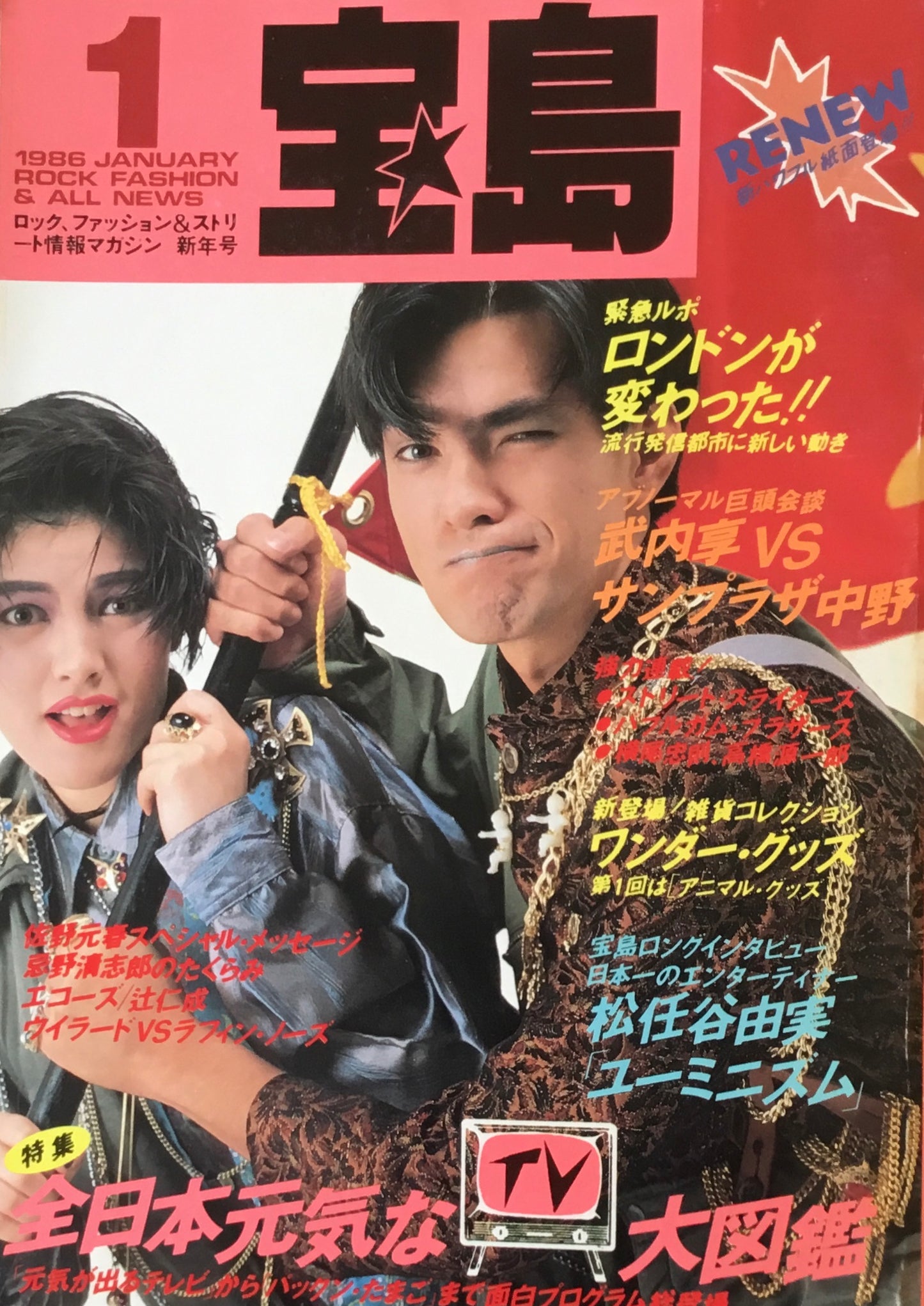 宝島 1986年1月号 元気なTV大図鑑
