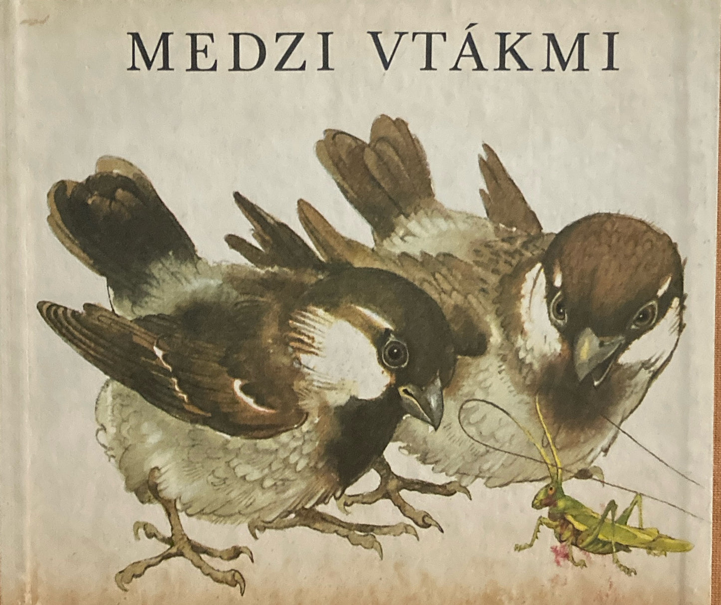 MEDZI VTAKMI Vladimir Machaj ヴラジミール・マッハイ