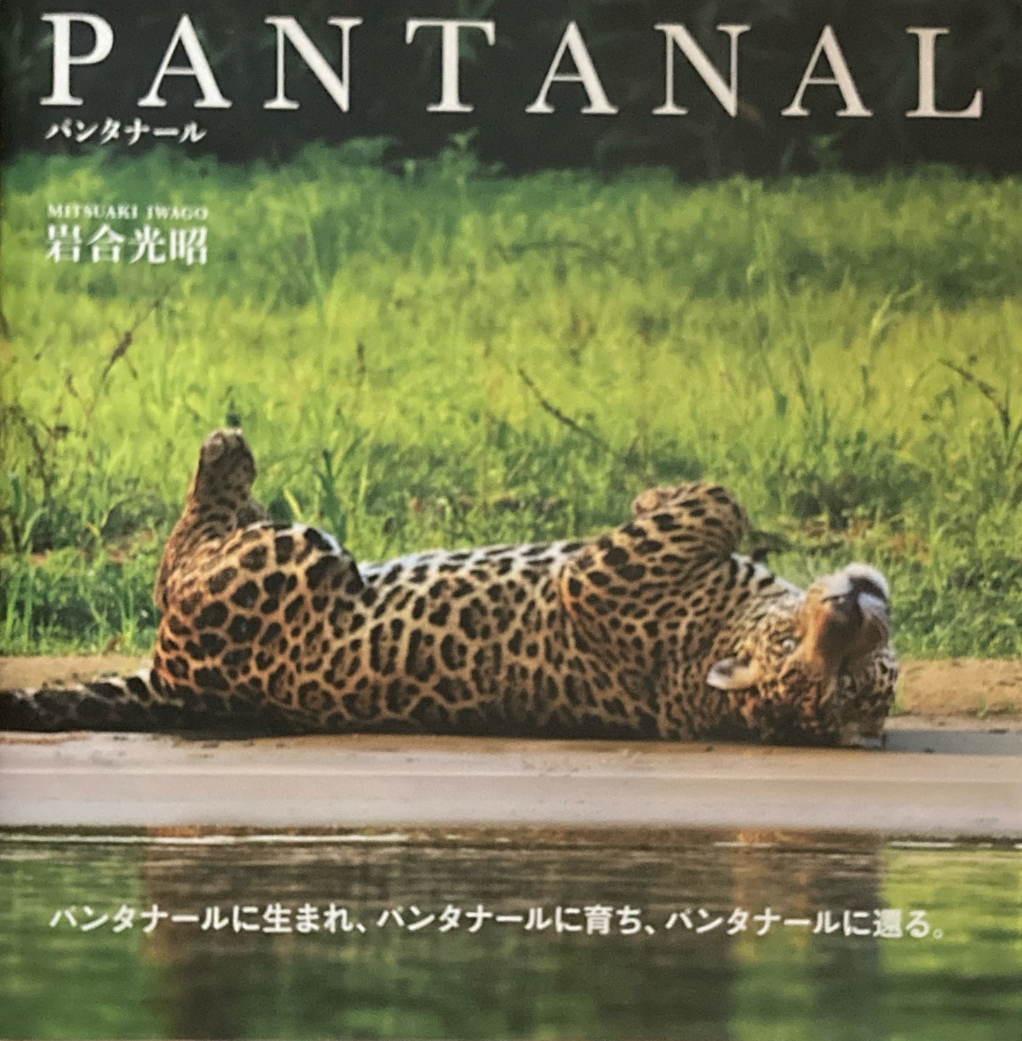 パンタナール PANTANAL 岩合光昭