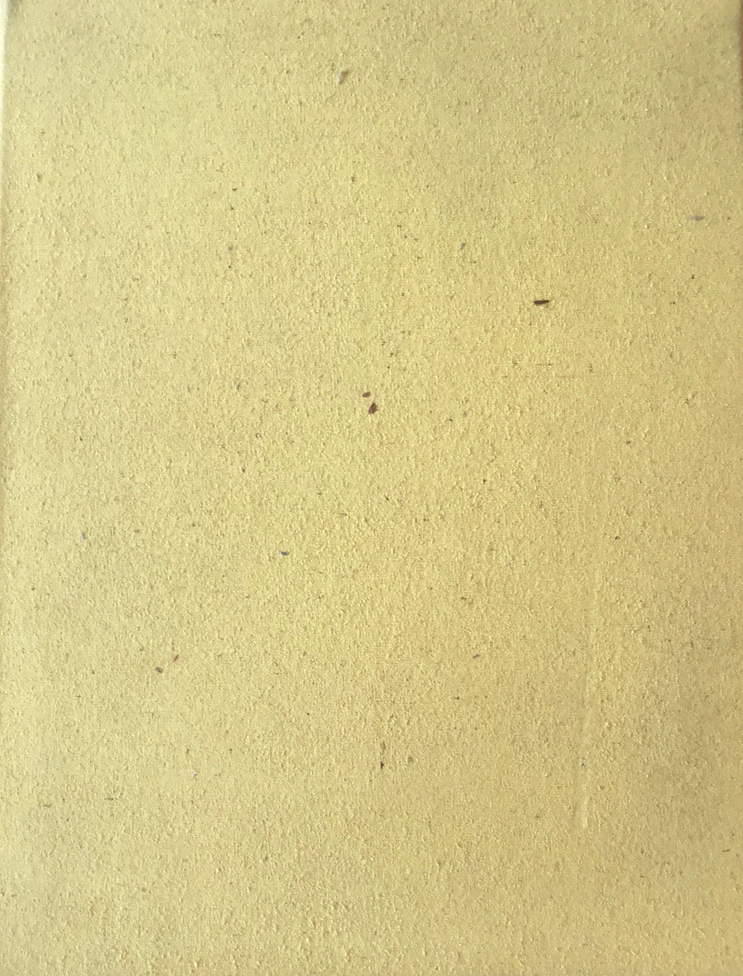 限定版 菅井汲版画集