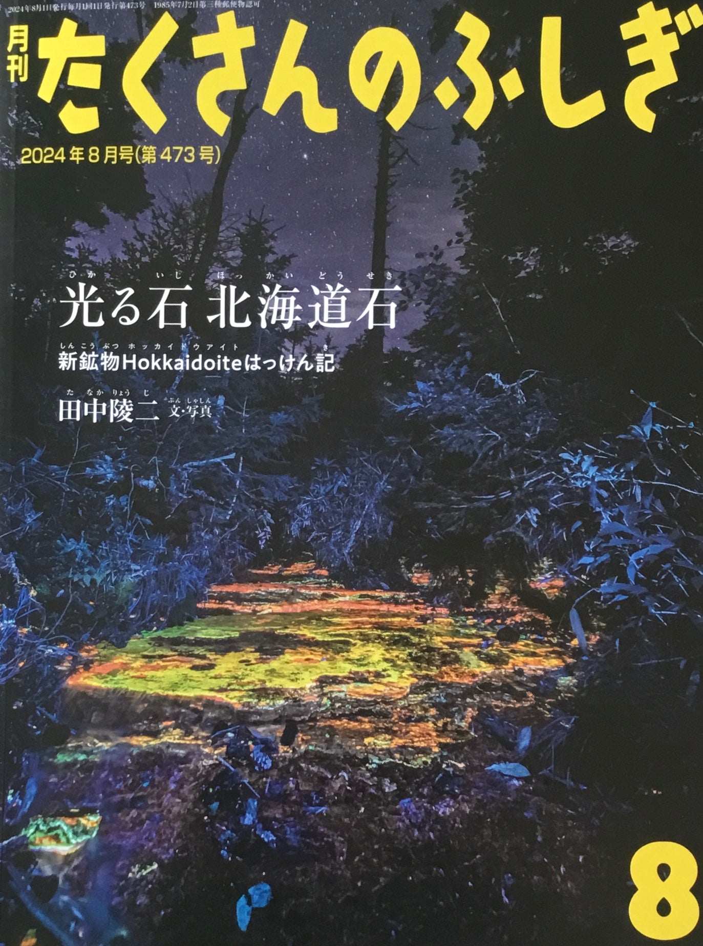 光る石 北海道石 新鉱物Hokkaidoiteはっけん記 たくさんのふしぎ473号