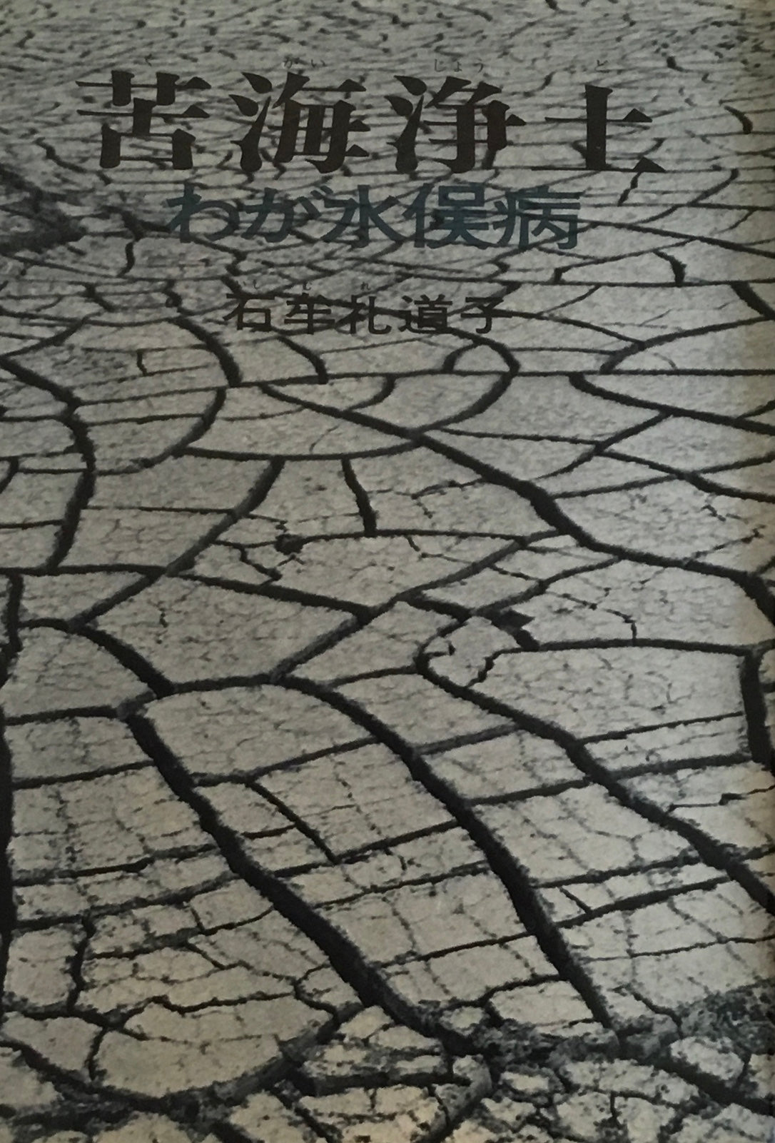 苦海浄土 わが水俣病 石牟礼道子