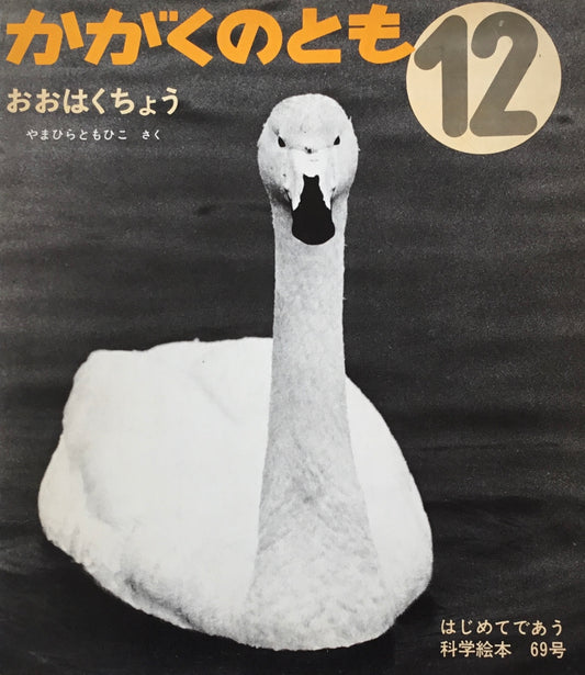 おおはくちょう やまひらともひこ かがくのとも69号