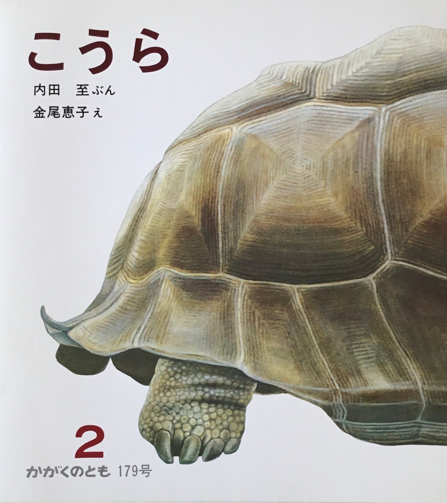 こうら かがくのとも179号