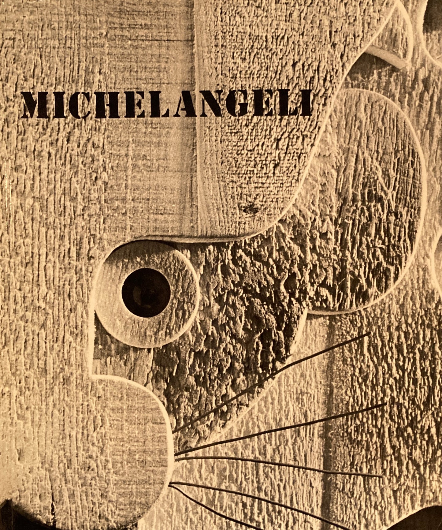 MICHELANGELI visto da Fredo Meyer-Henn ミケランジェリ 写真集