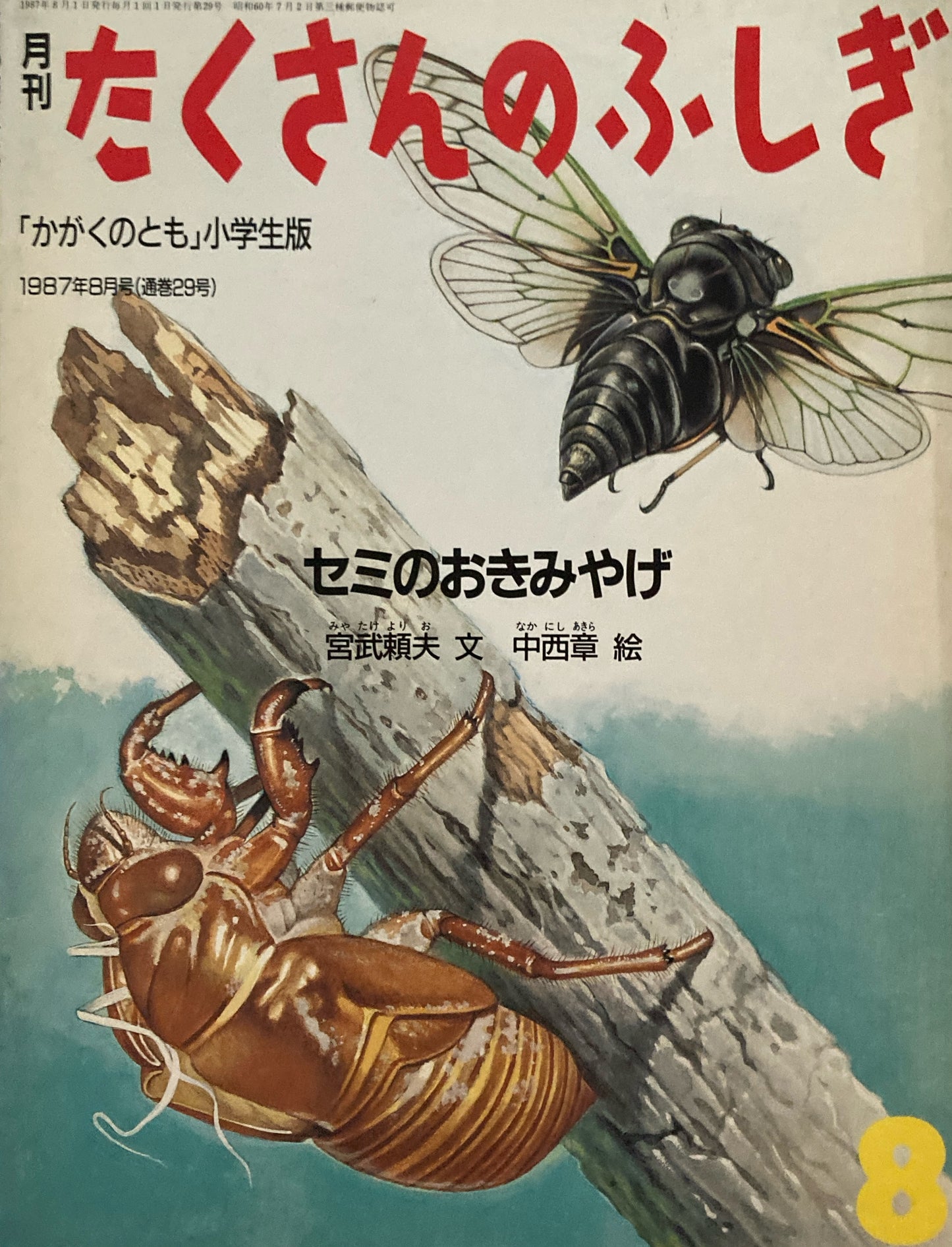 セミのおきみやげ たくさんのふしぎ29号 1987年8月号