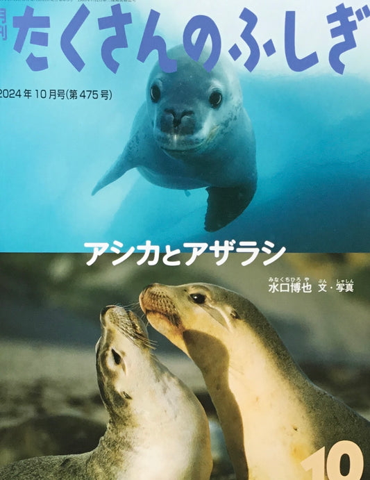 アシカとアザラシ たくさんのふしぎ475号