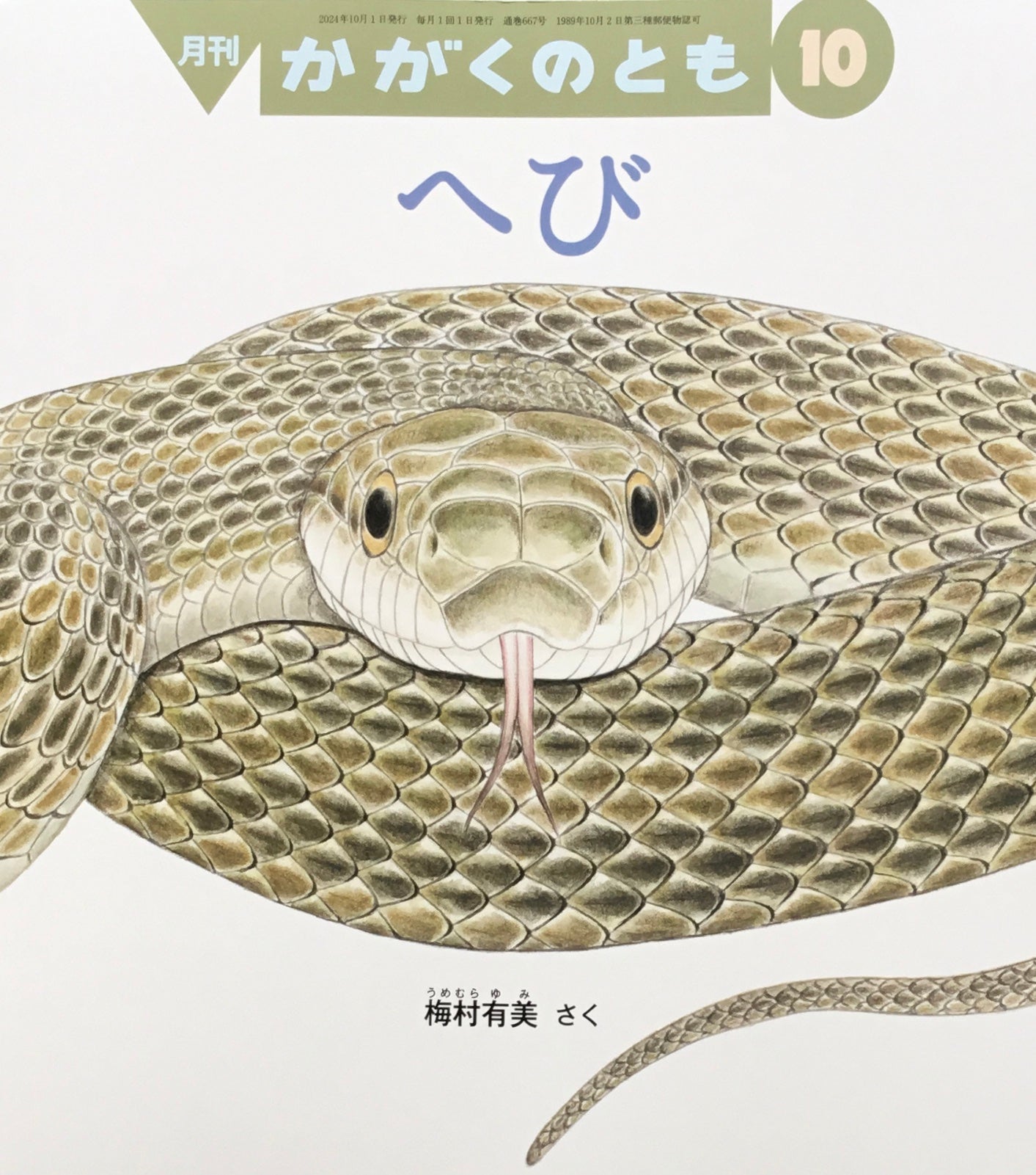 へび かがくのとも667号
