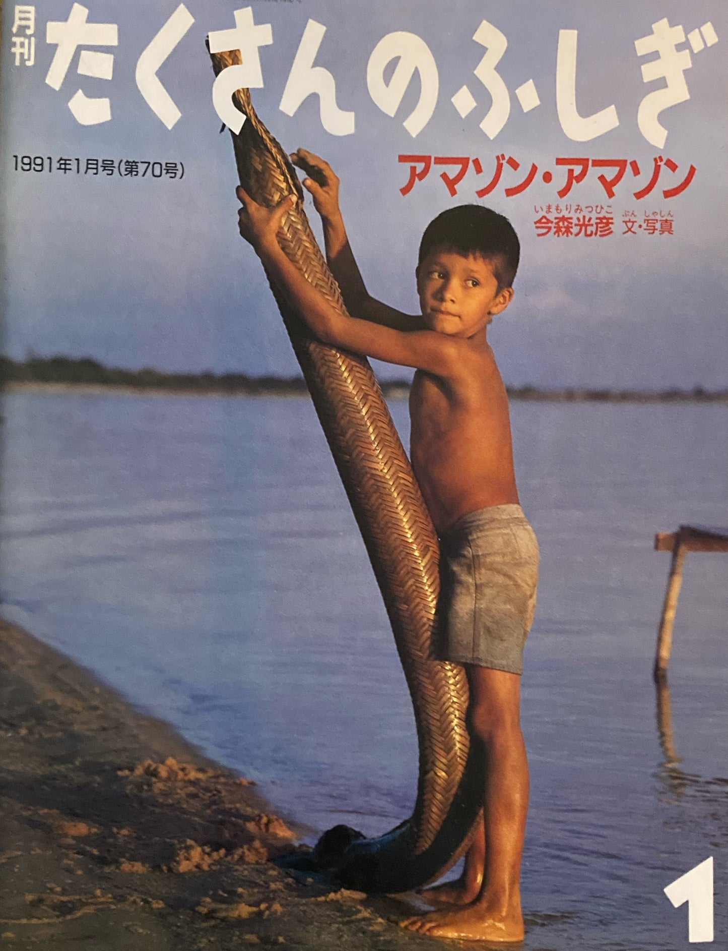 アマゾン・アマゾン 今村光彦 たくさんのふしぎ70号 1991年1月号