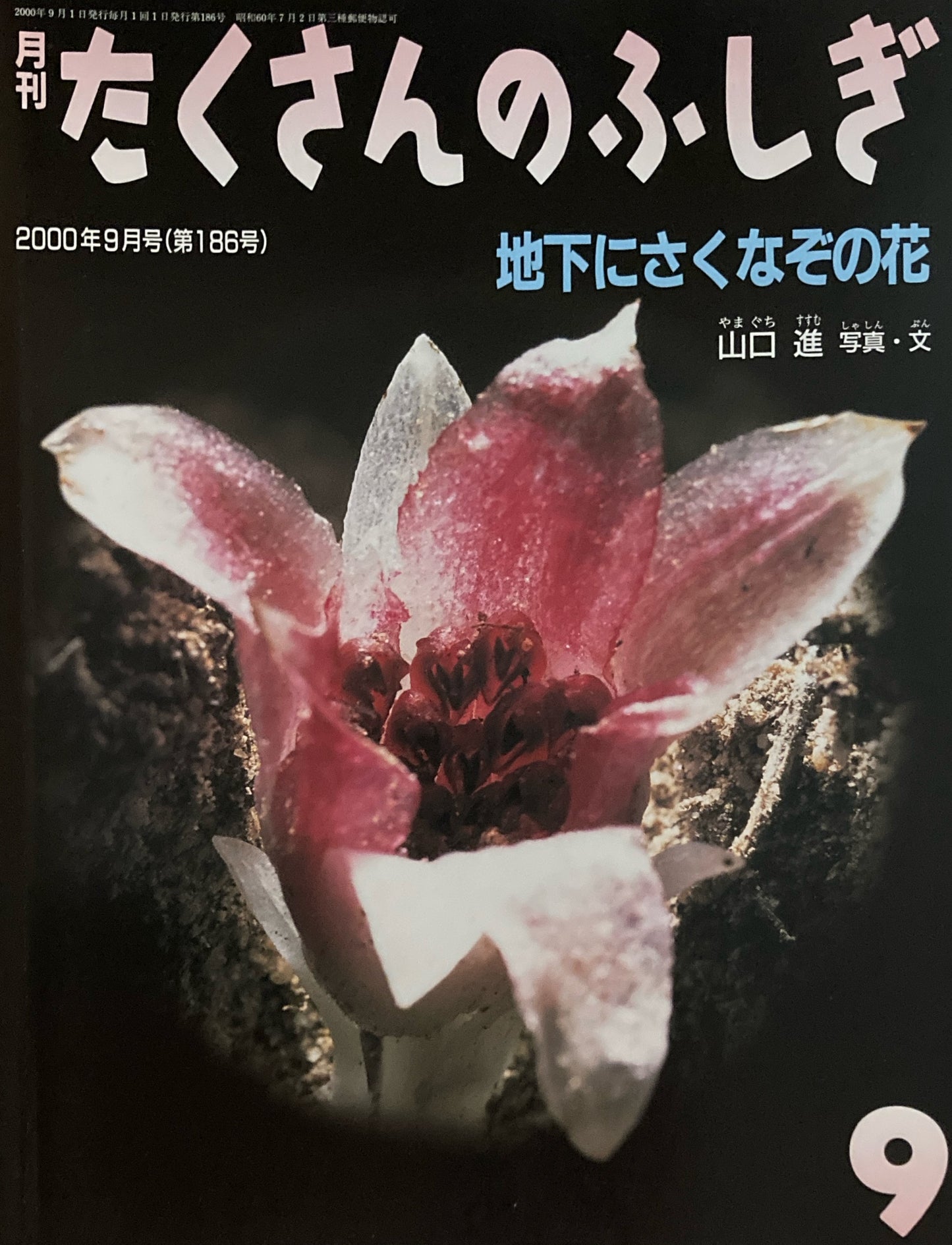 地下にさくなぞの花 たくさんのふしぎ186号  2000年9月号