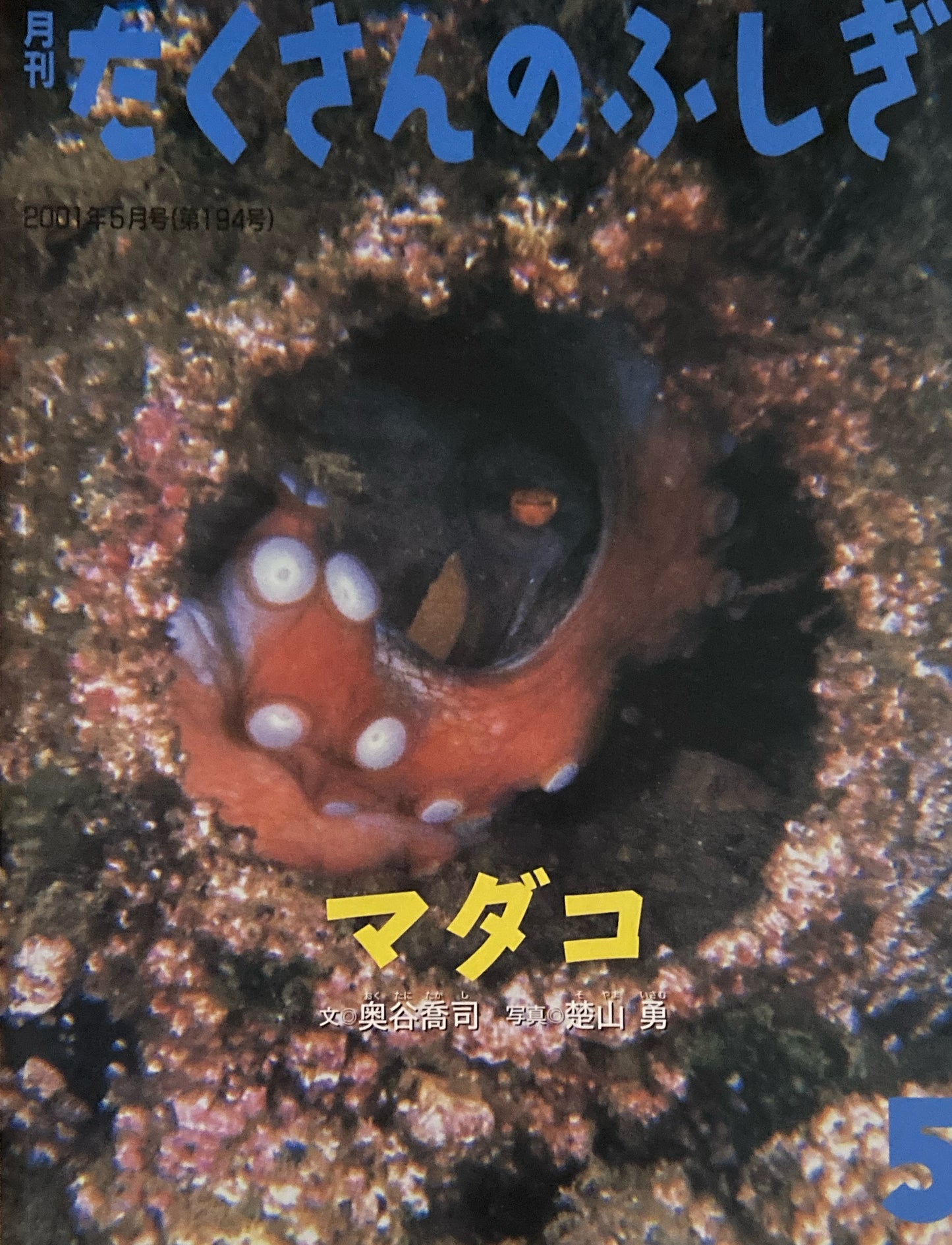 マダコ たくさんのふしぎ194号 2001年5月号