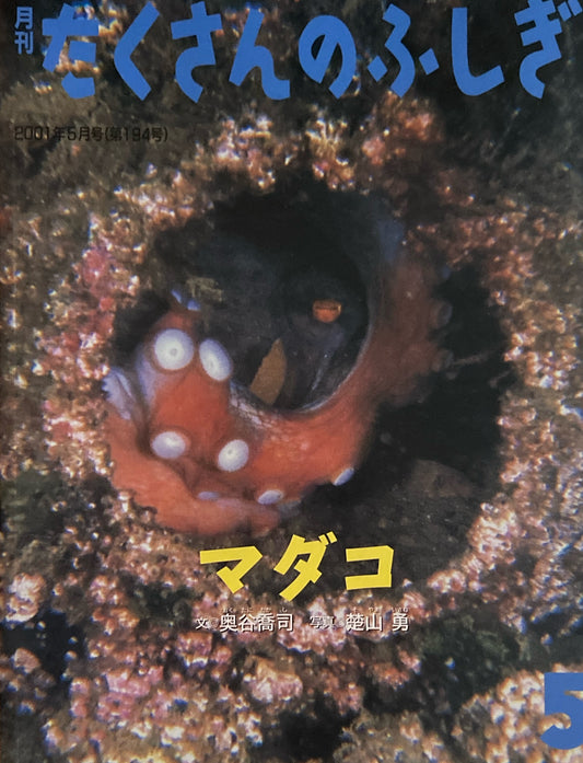 マダコ たくさんのふしぎ194号 2001年5月号