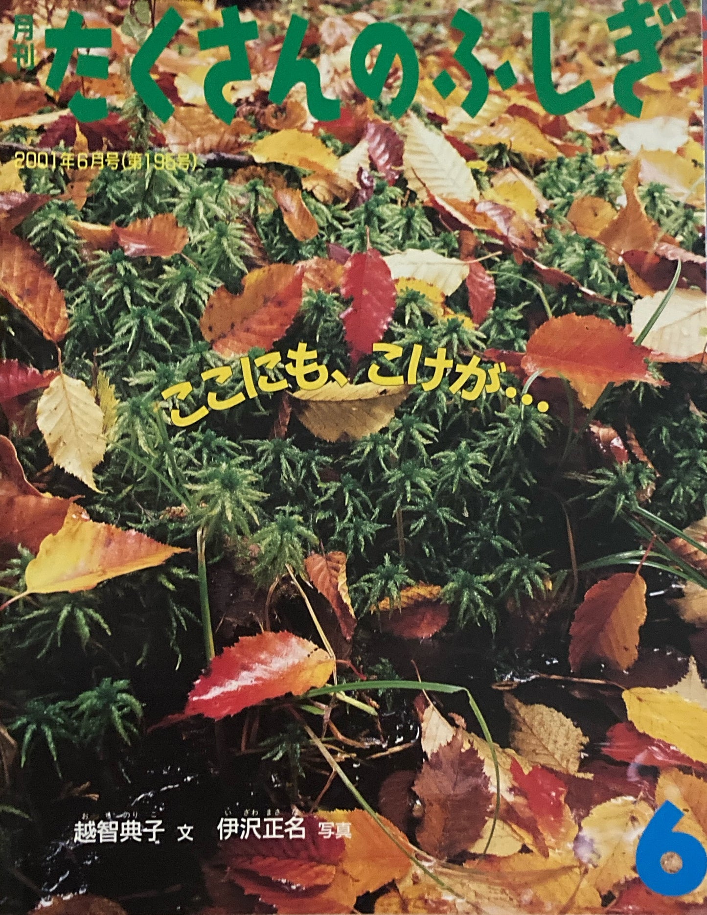 ここにも、コケが・・・ たくさんのふしぎ195号 2001年6月号