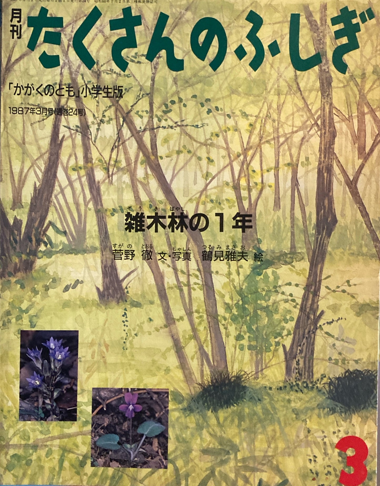 雑木林の1年 たくさんのふしぎ24号 1987年3月号