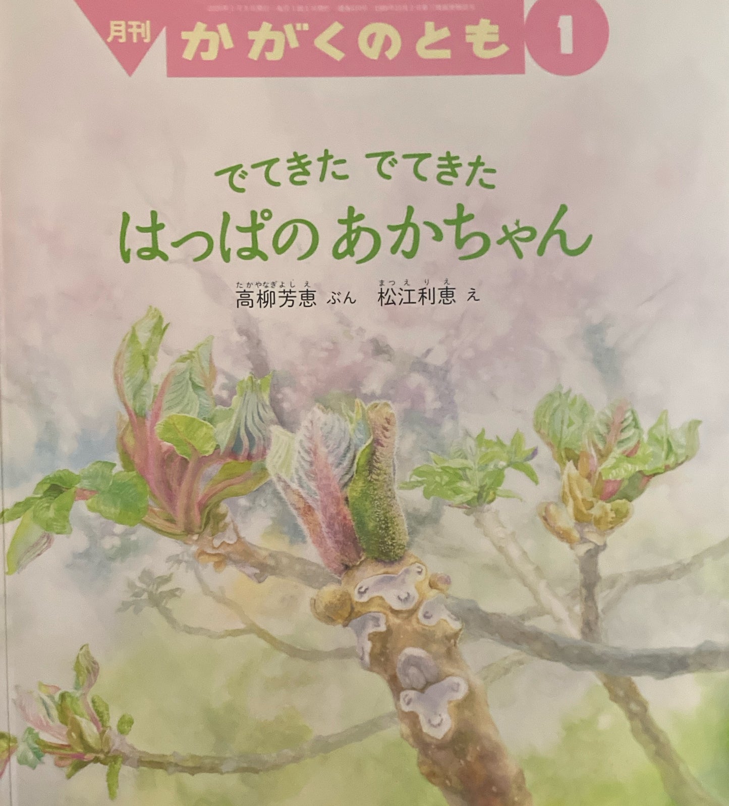 でてきたでてきた はっぱのあかちゃん かがくのとも610号 2020年1月号