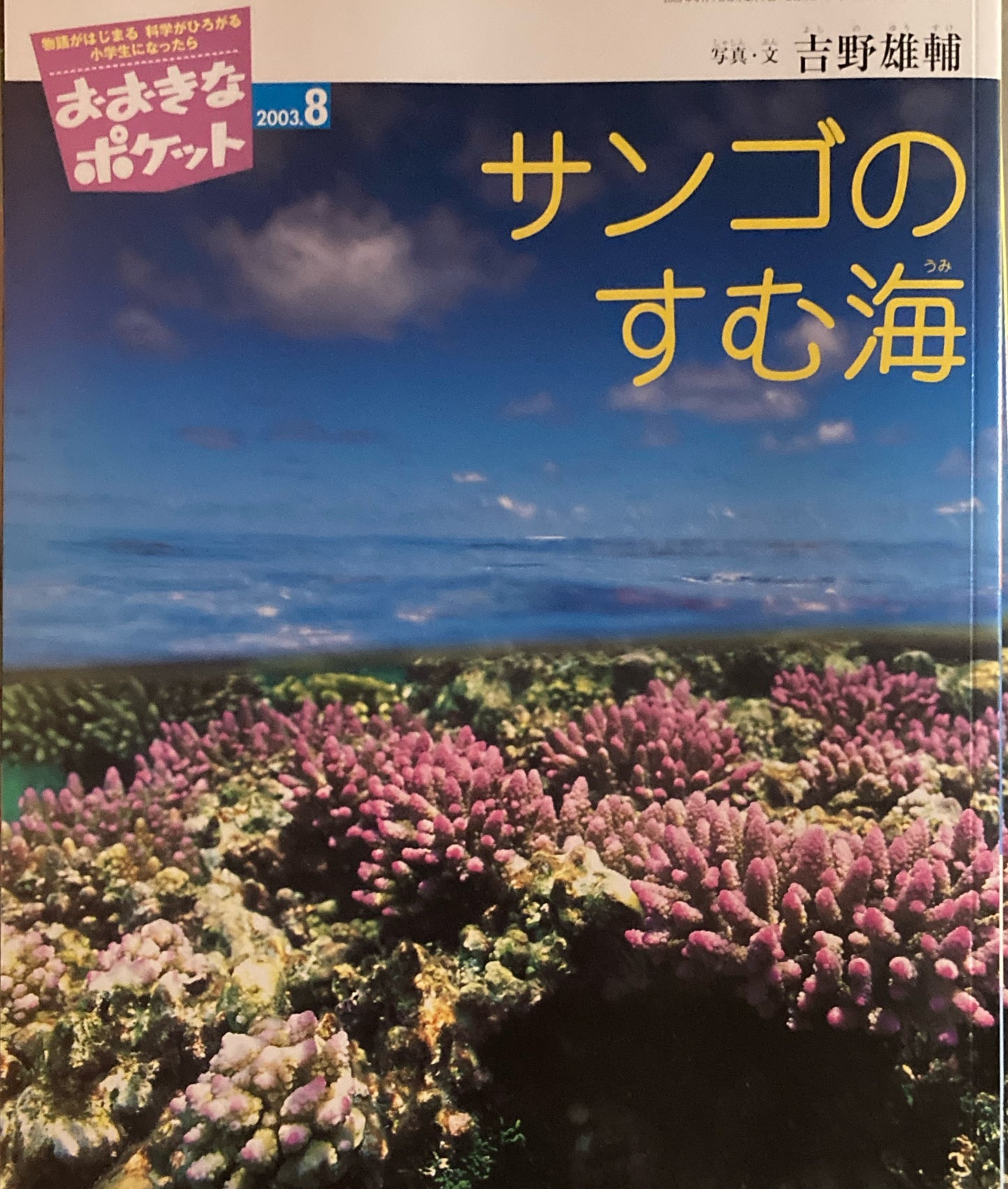 おおきなポケット 2003年8月号 137号 サンゴのすむ海 つきよのばんに