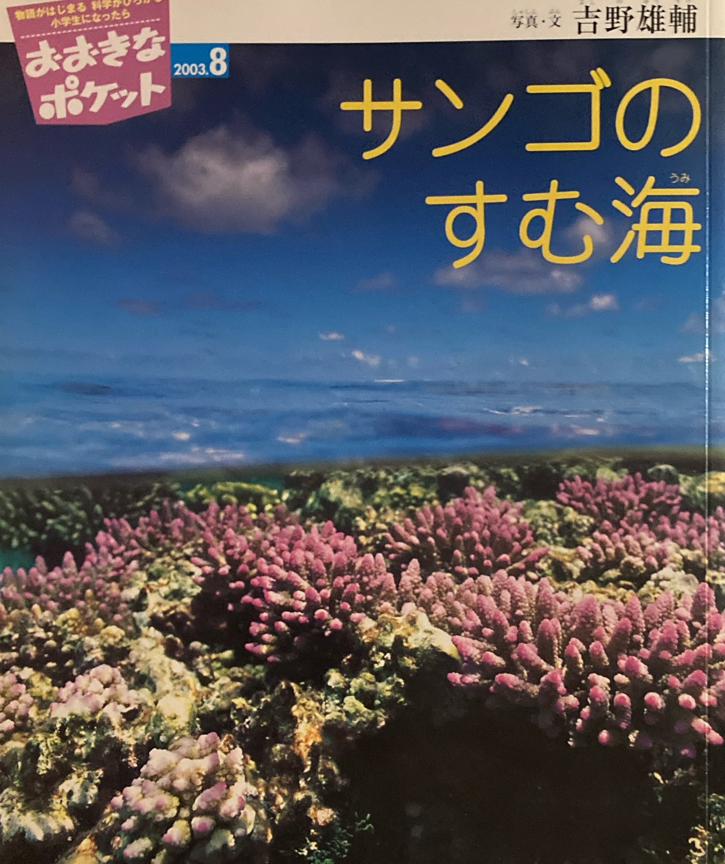 おおきなポケット 2003年8月号 137号 サンゴのすむ海 つきよのばんに