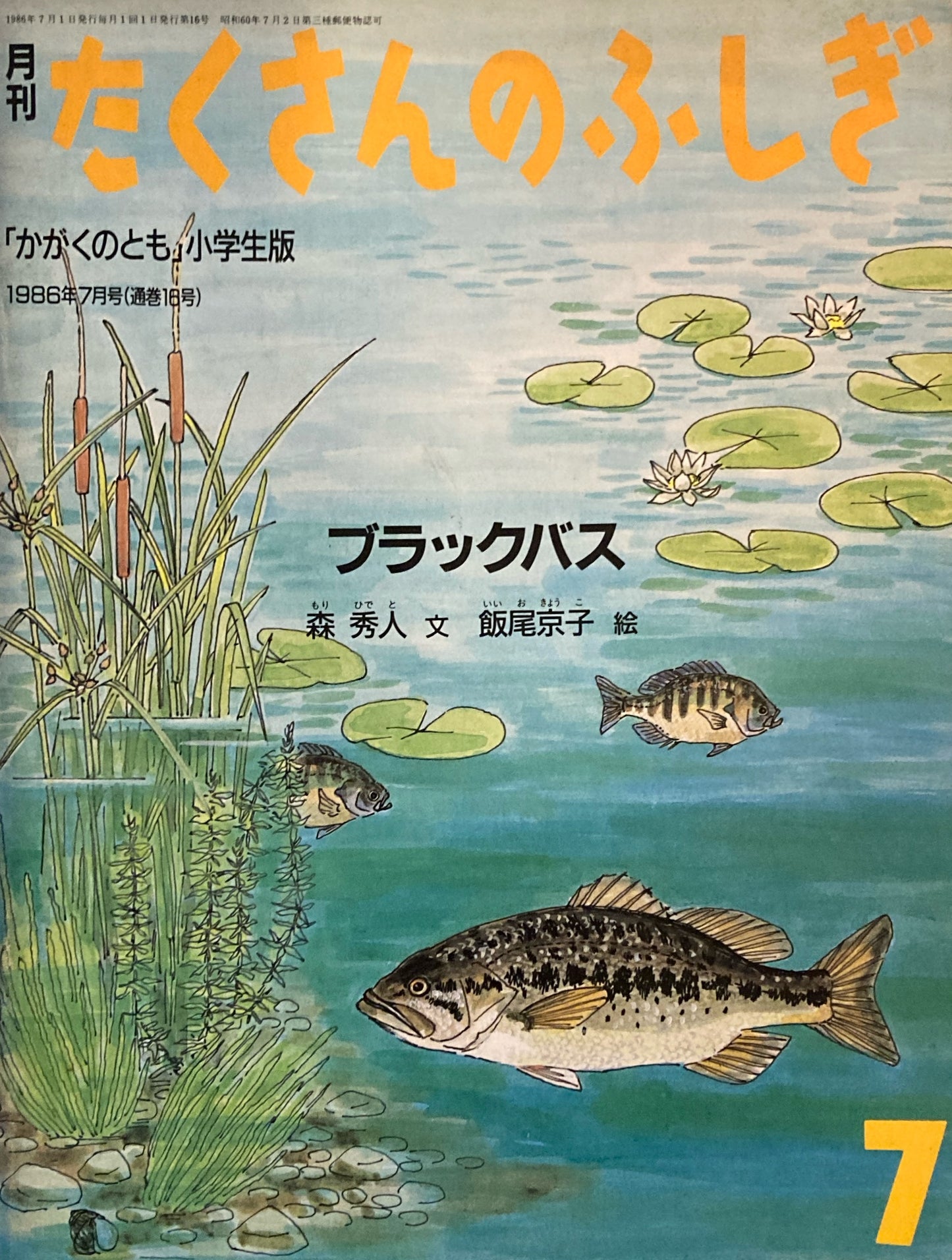 ブラックバス たくさんのふしぎ16号 1986年7月号