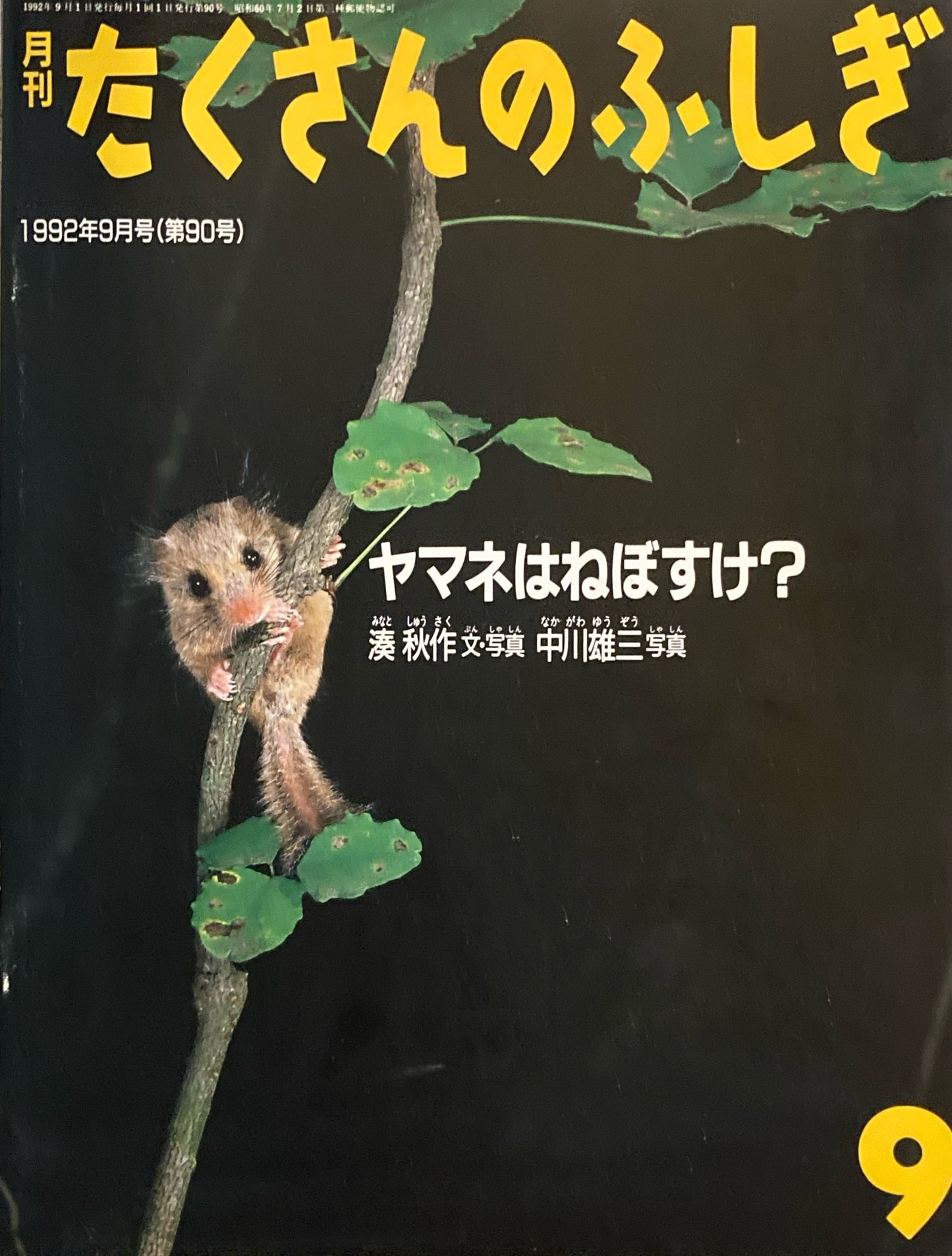 ヤマネはねぼすけ? たくさんのふしぎ90号 1992年9月号