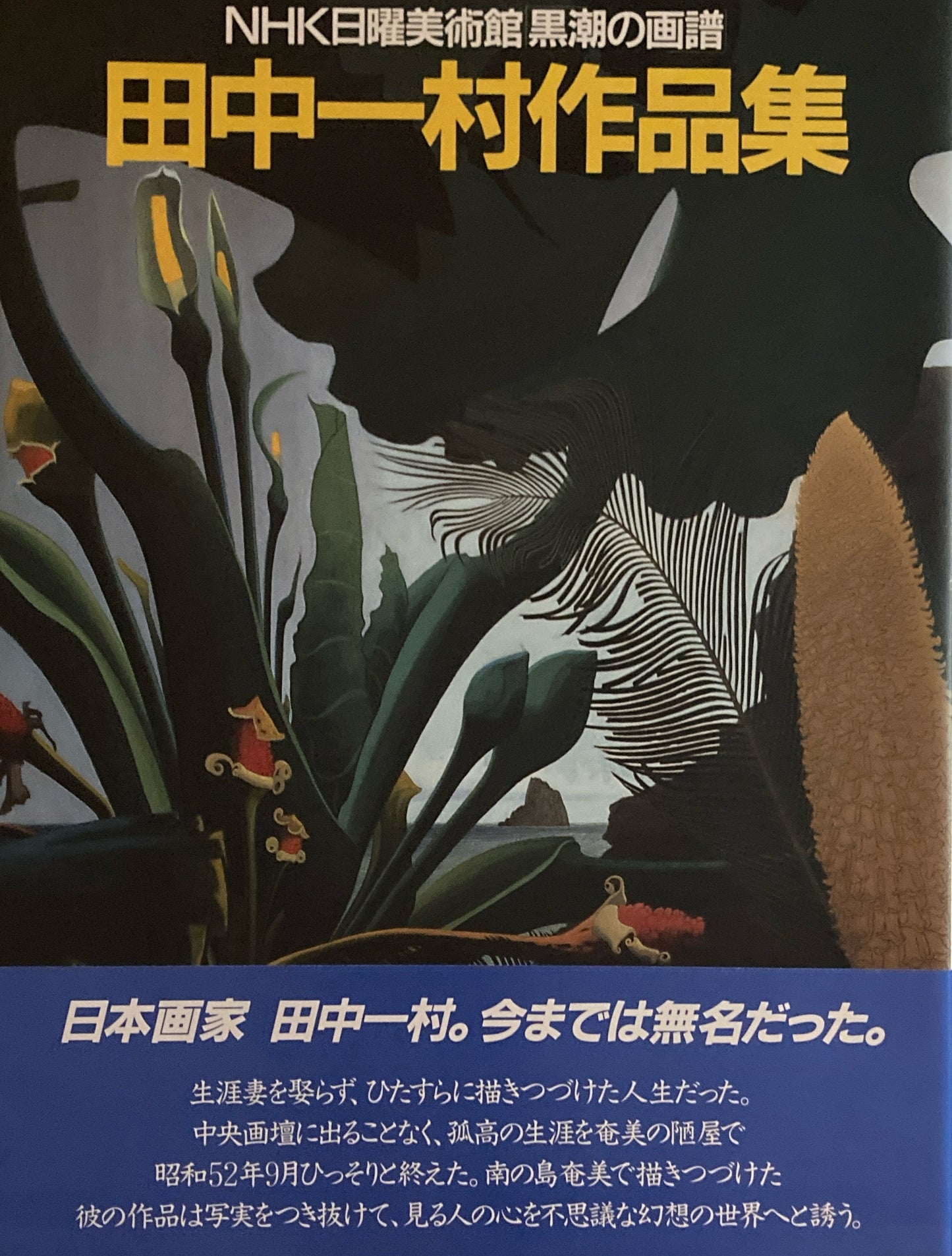 田中一村作品集 NHK日曜美術館 「黒潮の画譜」