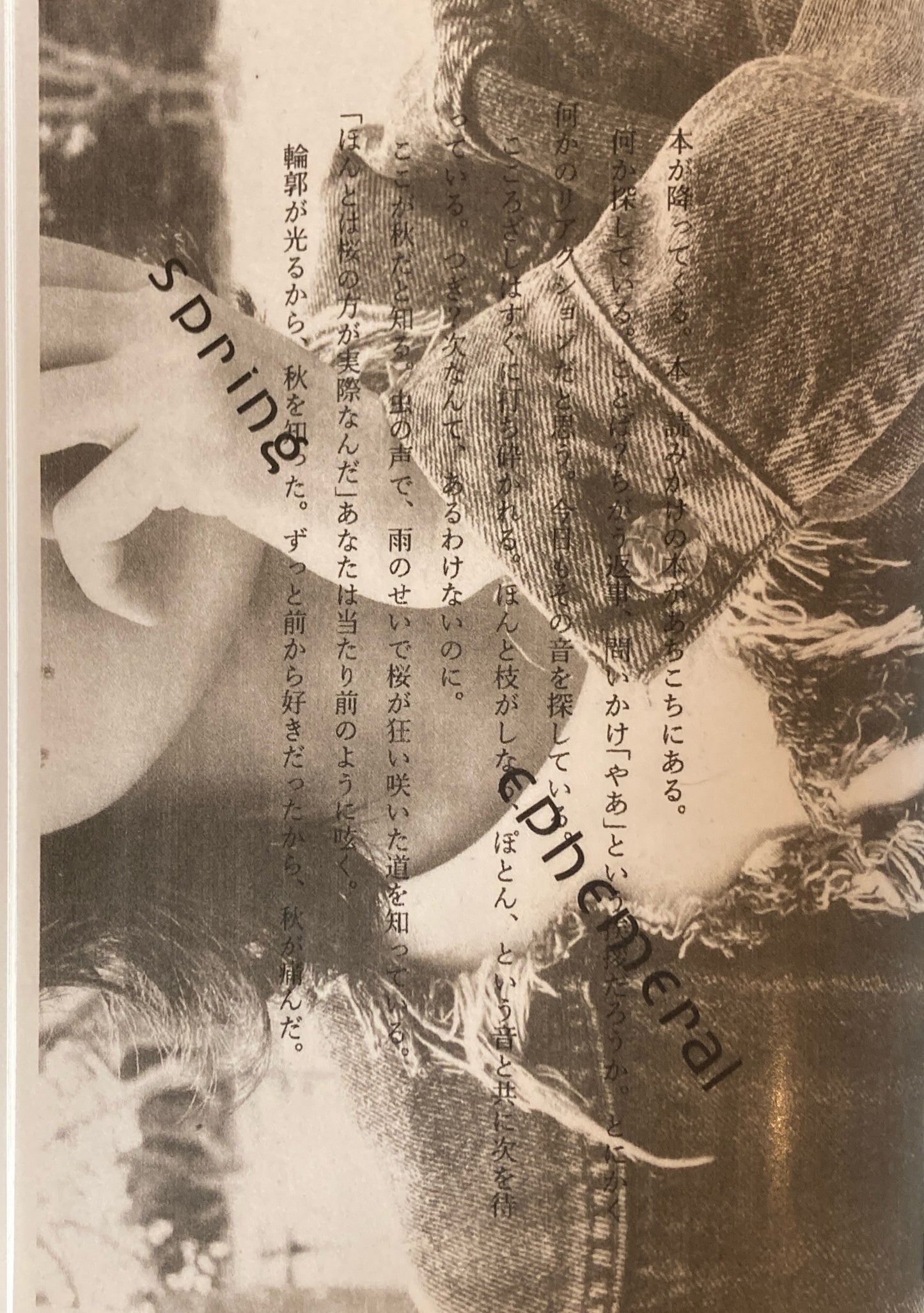 スプリング・エフェメラル ような恵 spring ephemeral