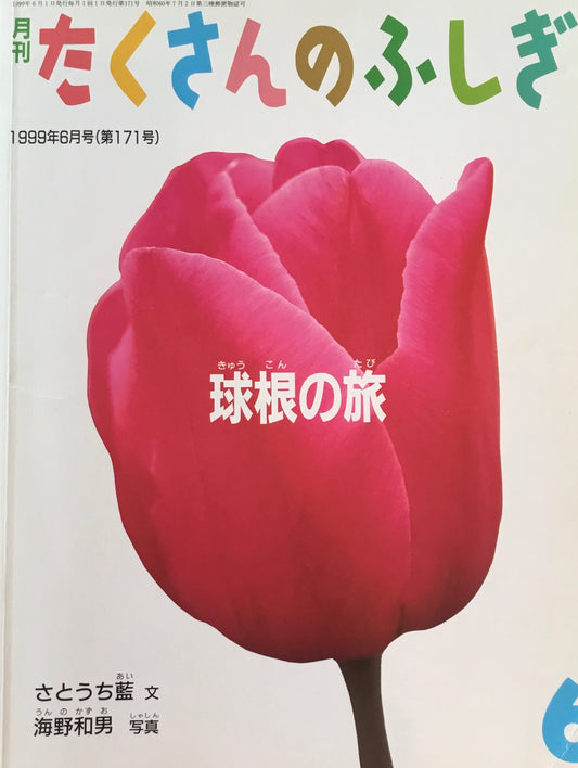球根の旅 たくさんのふしぎ171号