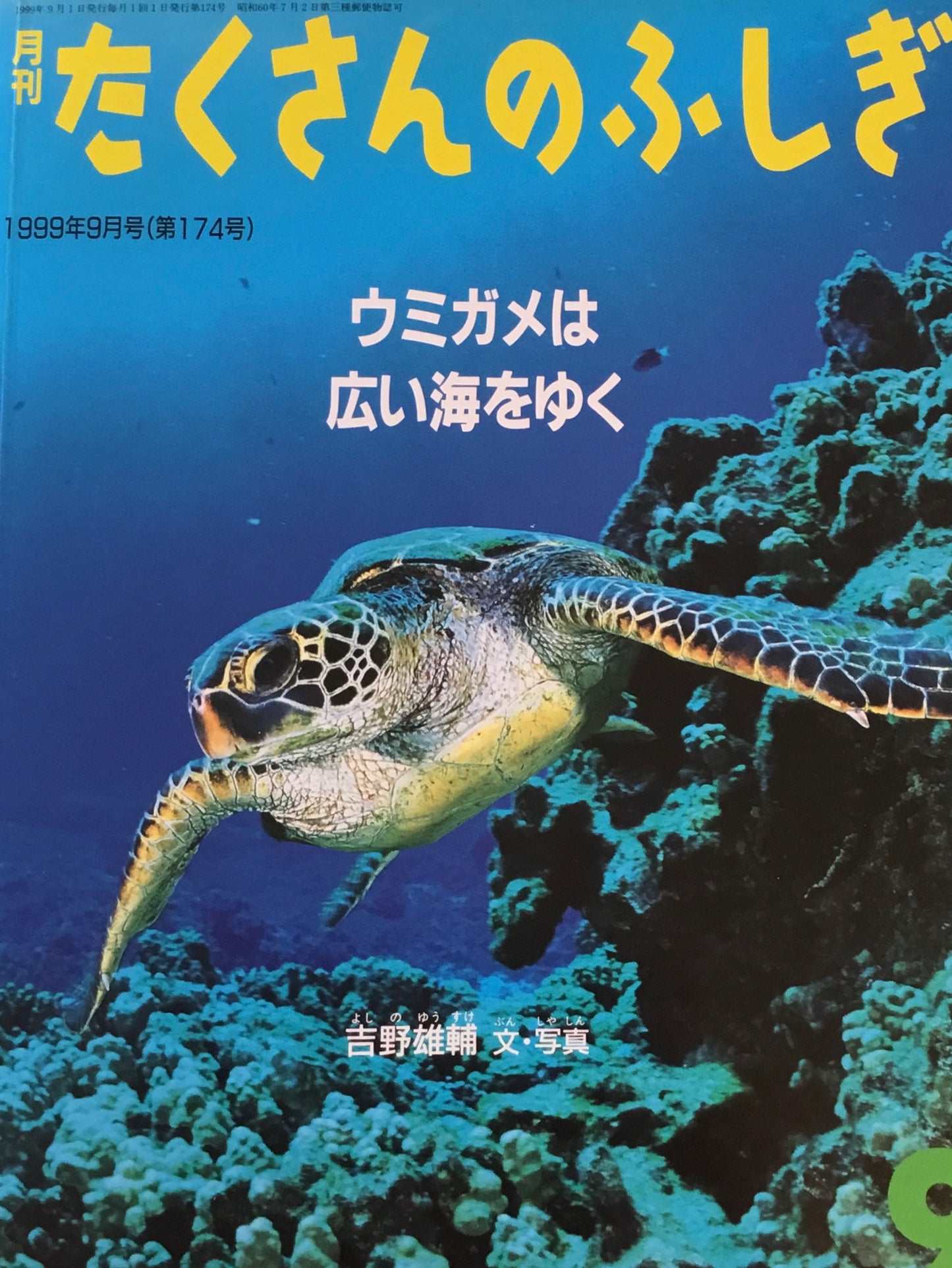ウミガメは広い海をゆく たくさんのふしぎ174号