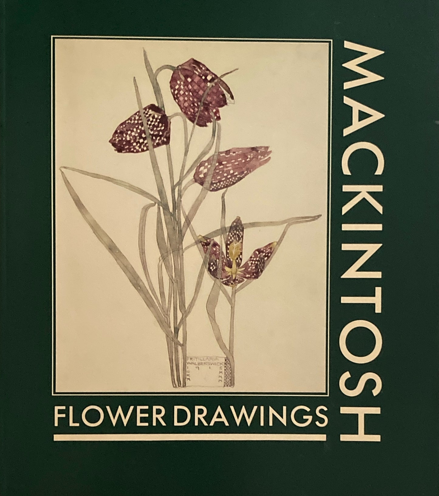 MACKINTOSH Flower Drawings