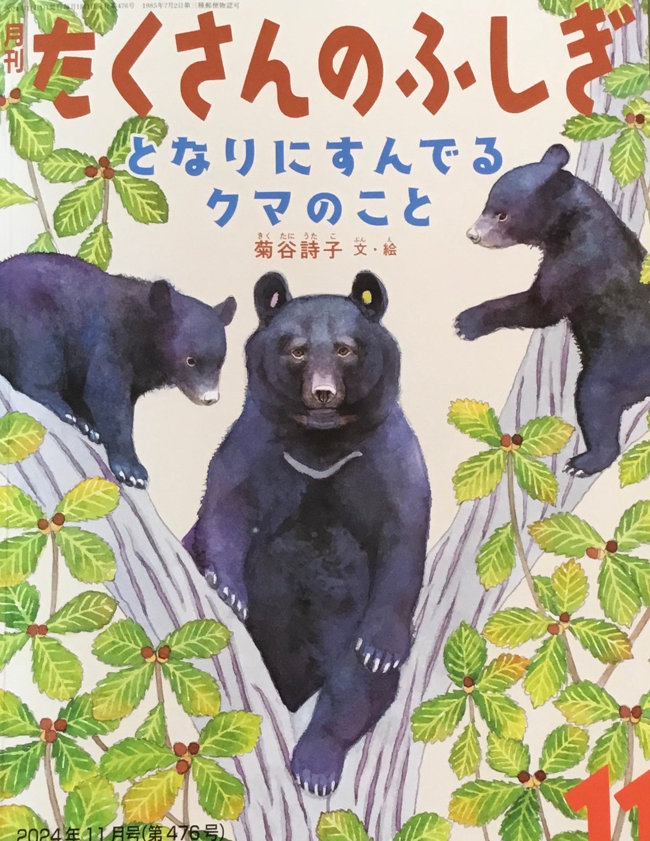 となりにすんでるクマのこと たくさんのふしぎ476号