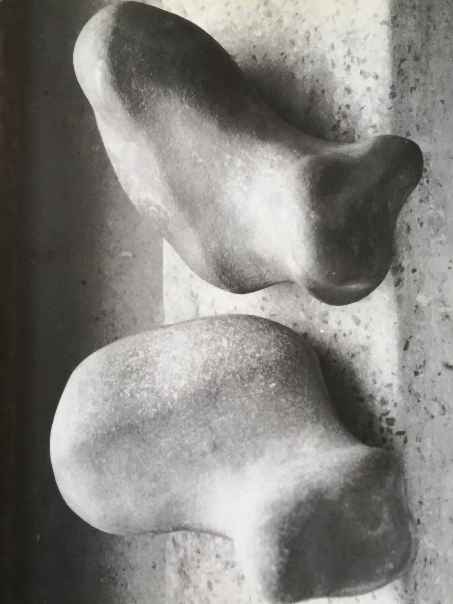 Zbynek Sekal ズビニャク・セカル