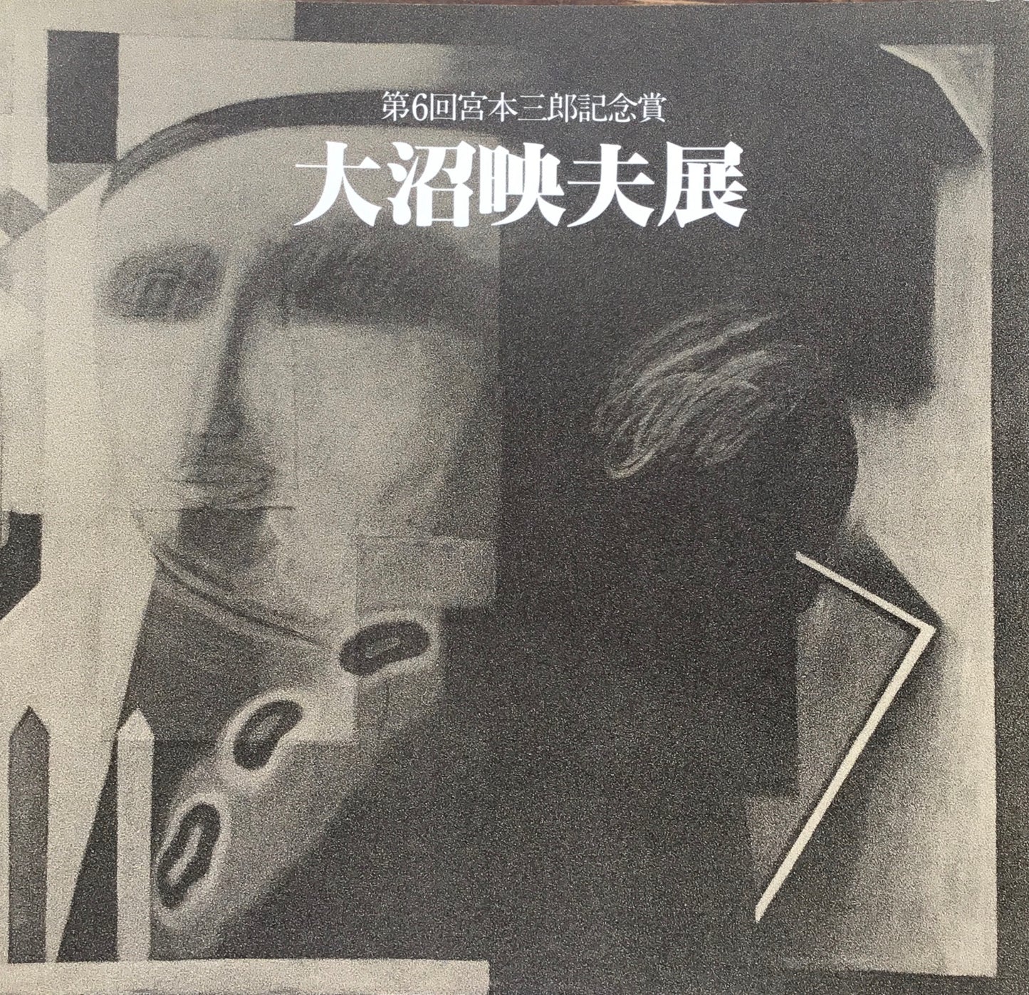 大沼映夫展 第6回宮本三郎記念賞 1988