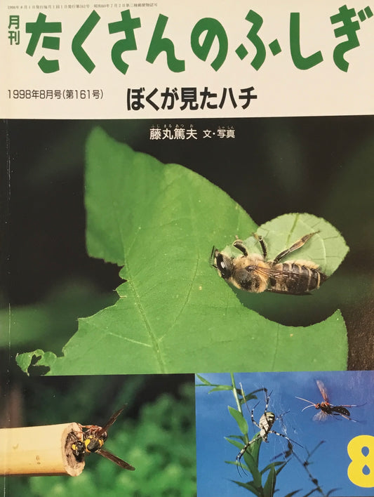 ぼくが見たハチ たくさんのふしぎ161号