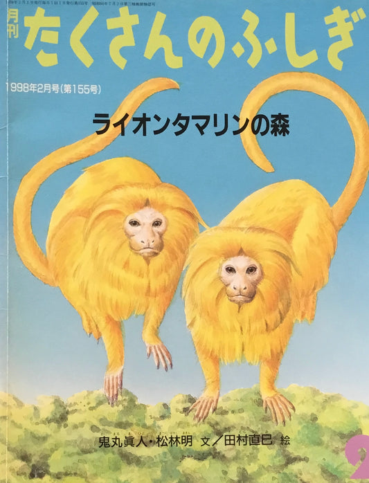 ライオンタマリンの森 たくさんのふしぎ155号