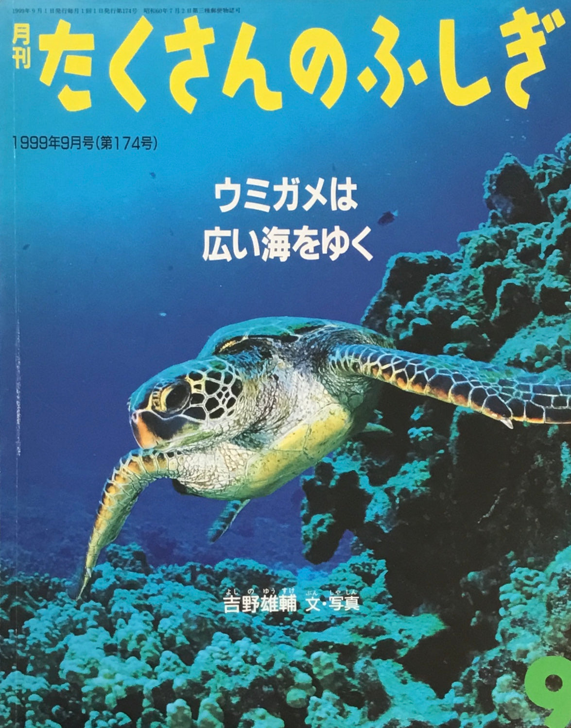 ウミガメは広い海をゆく たくさんのふしぎ174号