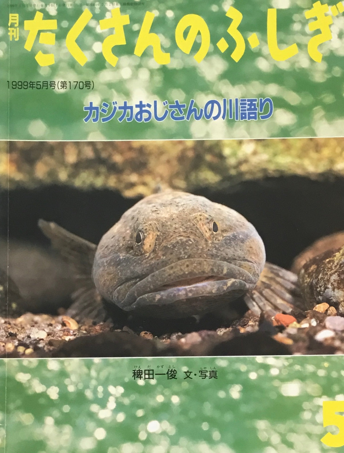 カジカおじさんの川語り たくさんのふしぎ170号
